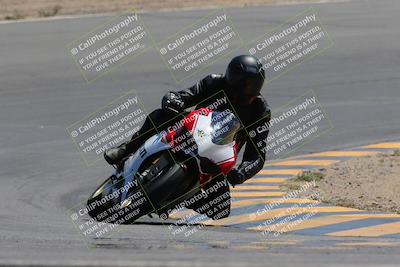 media/Apr-09-2023-SoCal Trackdays (Sun) [[333f347954]]/Turn 10 (115pm)/